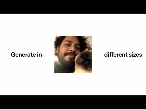 走失的猫
