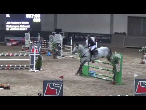 jornian (zirocco blue x canturano)