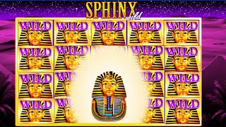 NEW BIG WIN on Sphinx Wild Slot! HUGE Wins on IGT Slot