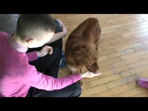 Twój 1% a dla nas ogrom możliwości!