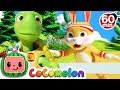 CoComelon En Español La Tortuga Y La Liebre Compilación De Canciones Infantiles