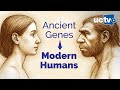 CARTA: Archaic Human Genomes with Diyendo Massilani