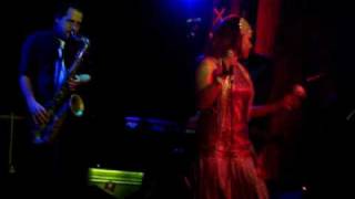 Dengue Fever - One Thousand Tears of a Tarantula