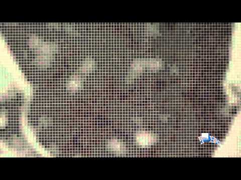 Konz & Schaefer in Untergruppenbach