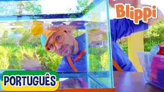 Afunda ou Flutua? V3 | Vídeos Educativos para Crianças | As Aventuras de Blippi