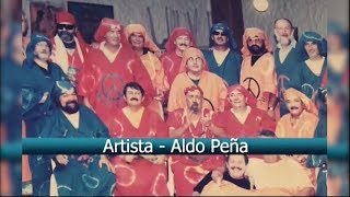 Video Artista de Aldo Peña 