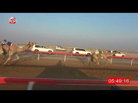  ش 4 (ليث) لـ عوض محمد سعيد العفاري 7:42:13 ، شارة الديوان 2026/10/25 إيذاع الوقن