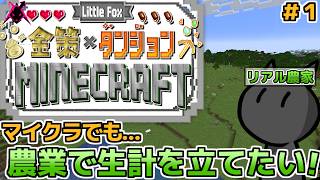 鯖内でも農業して生計を立てたいマインクラフト！(改めて)１日目！　【little Fox 金策 Minecraft】