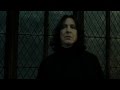 The Loyalty Of The Elderwand Harry Potter And The Deathly Hallows Pt 2