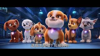 【汪汪隊立大功：超級大電影】  汪星篇中文配音版 - 9月29日 中秋連假歡樂登場