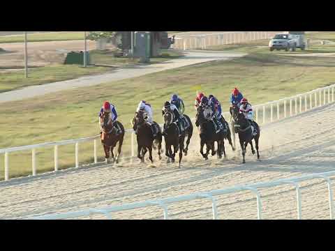 2019.11.24. 08. futam - ZBORAY LÁSZLÓ EMLÉKVERSENY - ÜRMÉNYI DÍJ (I.kat.) (szintetikus pálya)