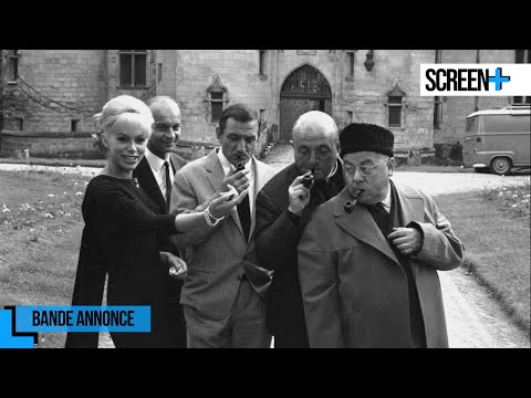 Les tontons flingueurs sur France 2