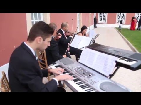 BRAVE ENSAMBLE - Without you - David Guetta