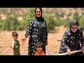 Can A Homeless Mother Build A Home From Nothing