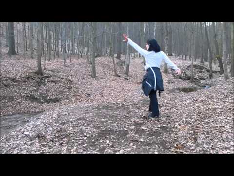 Ich habe einen Traum (02/2015), DHT - My Dream