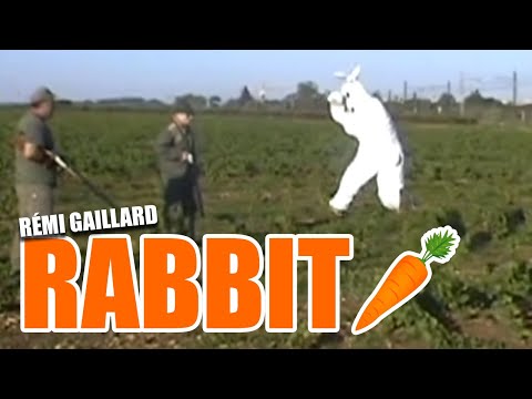 THE RABBIT  nimportequi.com