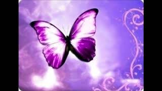 Westlife - Butterfly Kisses