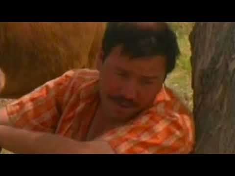 Uyghur folk song - Seher elliyi