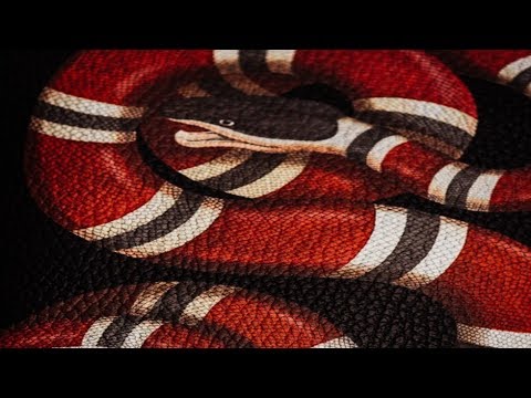 5G x Sub9K x TrippJones - The Real Illuminati (Prod. by BMB Evil Haze x BMB SCREWMANEFLAME)