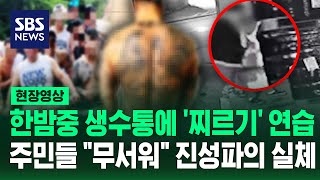 무서워서 못 살겠다 주민들 공포 최고조..21년 만에 검거된 범죄 단체 징역형 (현장영상) / SBS