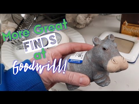 More Great Finds at Goodwill! - Shop Along With Me - Goodwill Thrift Store