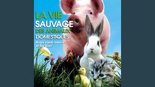 Die Wilde Farm (Title)