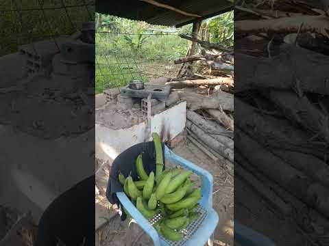 6 enero 2026 plata real albania caqueta granja el canal para vender o comer