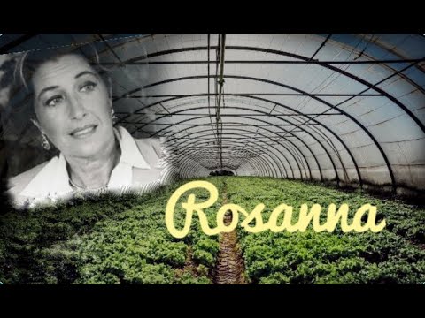 ROSANNA - FIORI CHE UCCIDONO