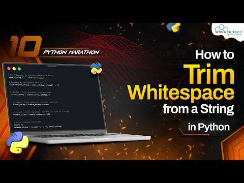 How to Select Random Value from a List in Python Python Programming Tutorial