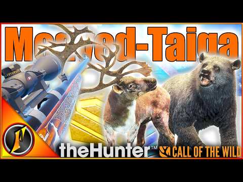 Hunting Reindeer, Brown Bear, & More on Medved Taiga! | Call of the Wild