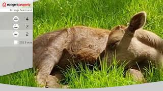 7630 Armidale Rd, Billys Creek, NSW 2453