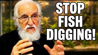STOP Fish Digging #fishdigging,