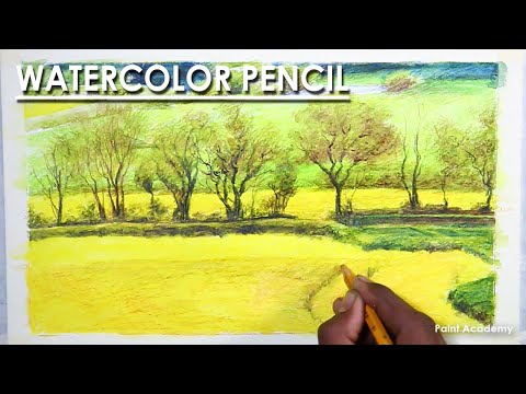 Watercolor Pencil Spruce Grassland Landscape Drawing