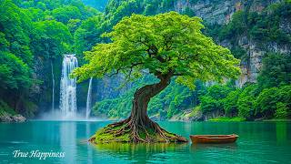 Relaxing Music Therapy - Healing Nature Sounds to Ease Stress, Anxiety & Emotional Fatigue