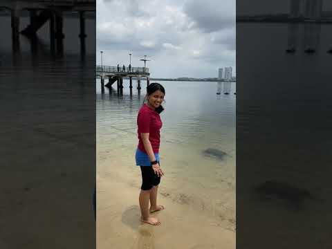 Sembawang Park Beach water in Singapore