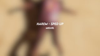 harem: miguel (sped up)