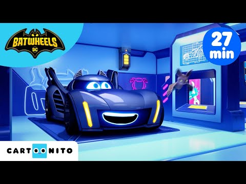 Meet Alfie The Bat | Batwheels | @cartoonito | Funny Cartoons for Kids