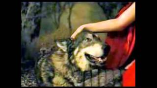 Lobo Herido - Vicente Fernandez