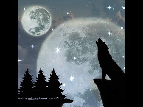 Video thumbnail piXYD6BB_Lo