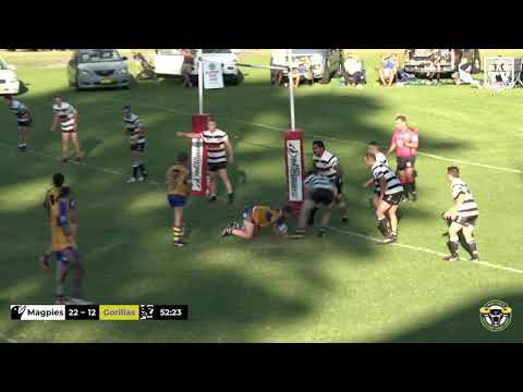2019 Group 7 RL 1st Grade Round 3 Highlights - Berry-Shoalhaven Heads vs Warilla-Lake South