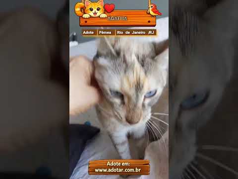 Vídeo de ÁGATHA