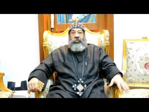 Katamars + Orsozoxi Video