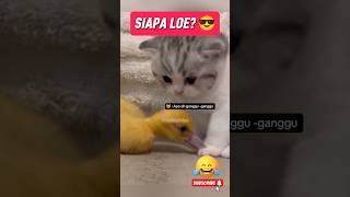 Download lagu Udah Dibilang Jangan Gangguโฆ Plak ๐ธ mp3 Download lagu Udah Dibilang Jangan Gangguโฆ Plak ๐ธ mp3