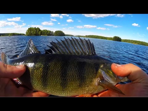 KALASTUSREISSU SUUR-SAIMAALLA | YÖTÄ SAARESSA | OSA 1