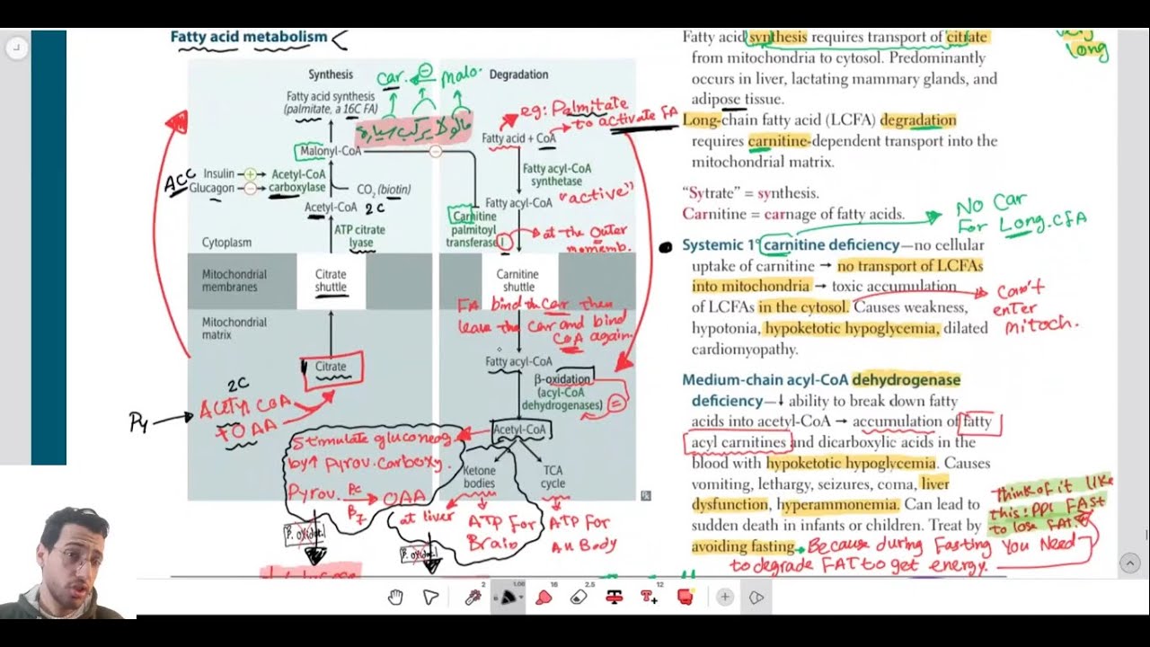 Lipid metabolism + Ketone Bodies | USMLE Step 1
