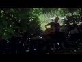 Joshua Marcus - it seems i'd rather get a neck cramp