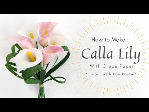 MAKE CALLA LILY with Crepe Paper | Colour with PAN PASTEL