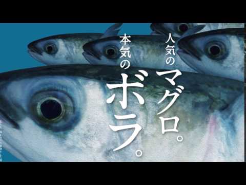 政治経済学科 聖学院大学のボラは本気です【CM】