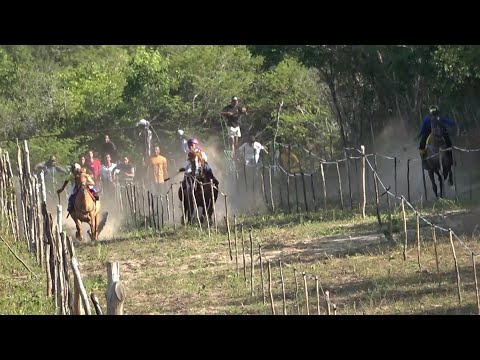 CORRIDA DE CAVALOS - Campinas do Piauí / Parque de Corrida Lagoa Redonda