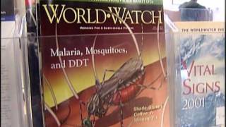 Mad Cowboy - Full Documentary